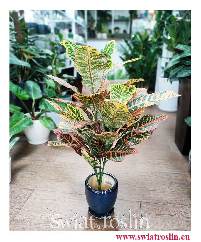 Kroton roślina sztuczna, Sztuczny Kroton, sklep z roślinami sztucznymi online