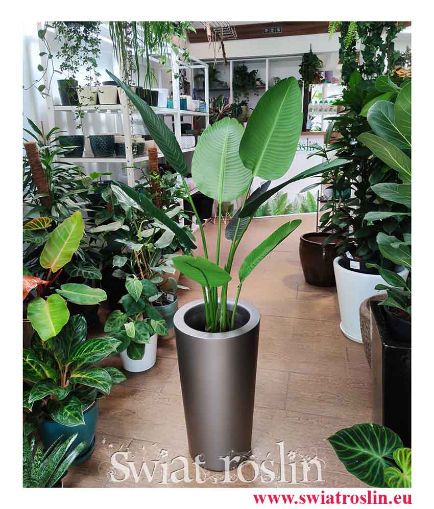Sztuczna Strelicja Nicolai - sztuczna Strelicja Biała, sztuczne rośliny do biura, sztuczne rośliny do firmy, wysyłka roślin