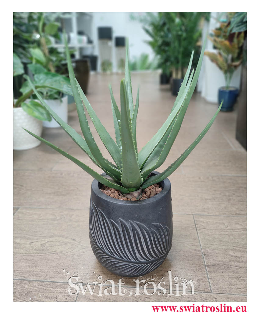 Aloes Sztuczny, Aloe Vera, Aloe Plant, sklep z roślinami sztucznymi online